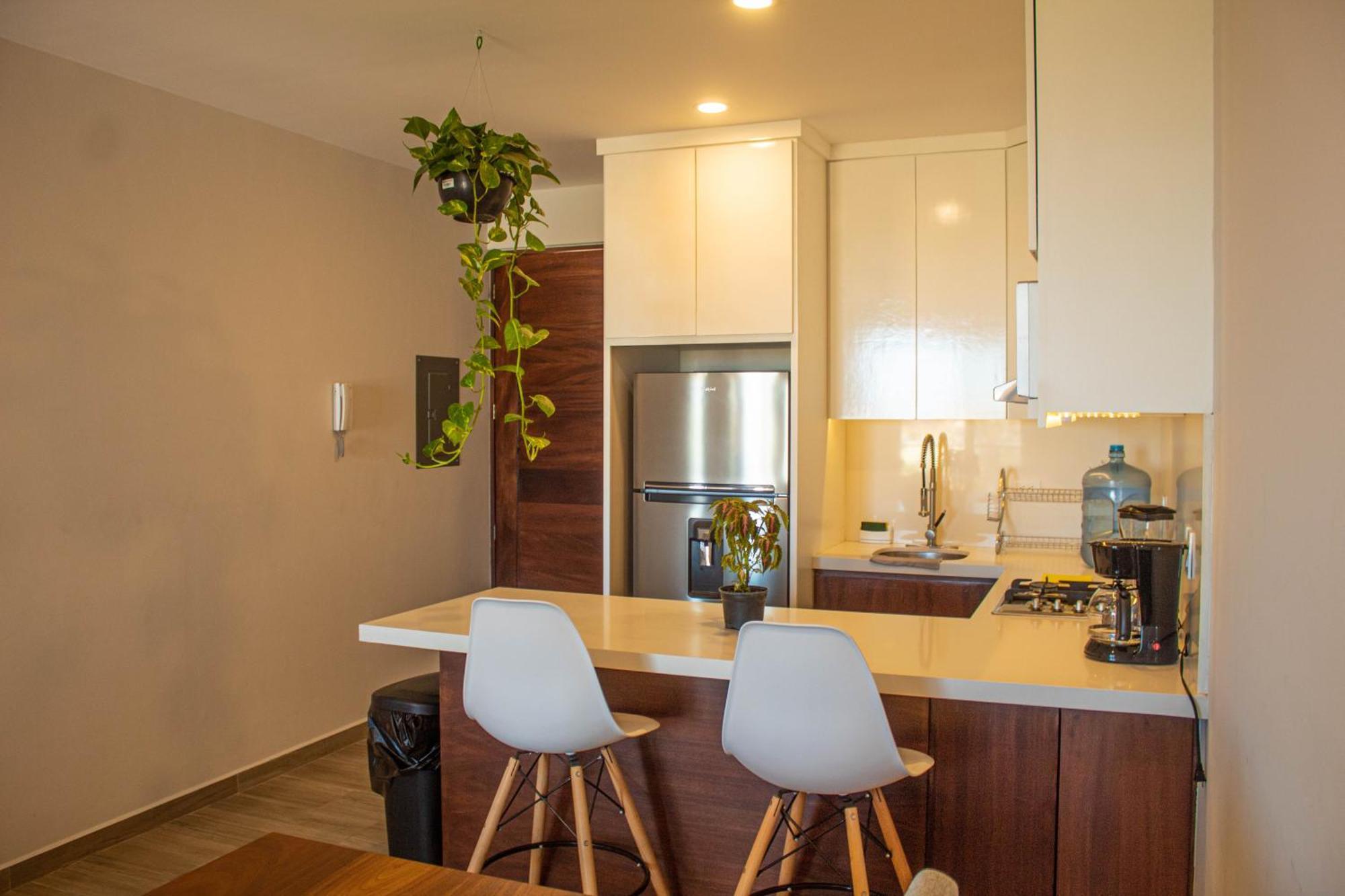 קאבו סן לוקאס New Terra Condo W/ Infinity Pool מראה חיצוני תמונה
